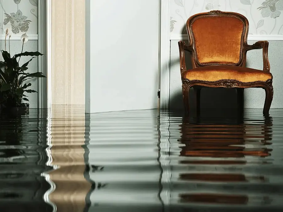 Flood Restoration Auckland response in Auckland